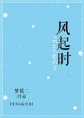 风起时歌曲