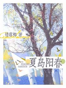 夏岛阳春by错落椰