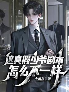 真假少爷文