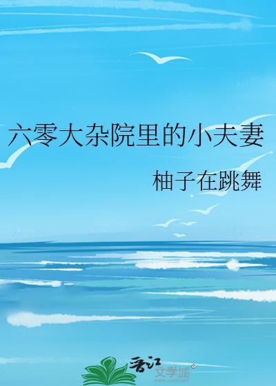 六零大杂院的小日子