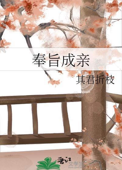 奉旨成亲无防盗笔趣阁