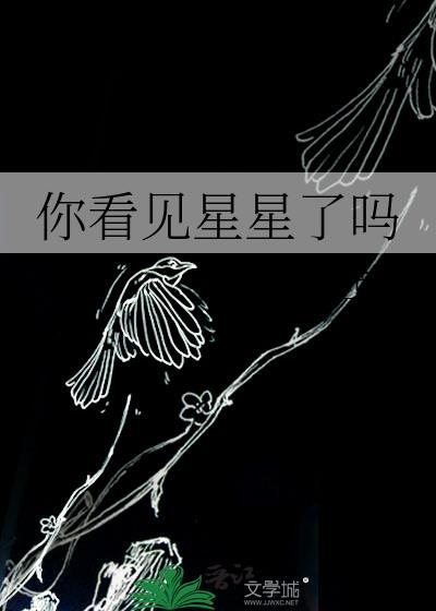 你看见星星了吗by酱子贝免费阅读全文
