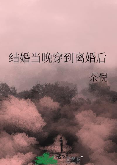 结婚当晚穿到离婚后免费阅读番外