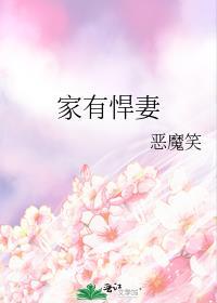 家有悍妻超旺夫短剧热播