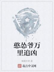 阿兰德龙万里追凶电影