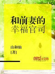 和前妻的幸福官司全本